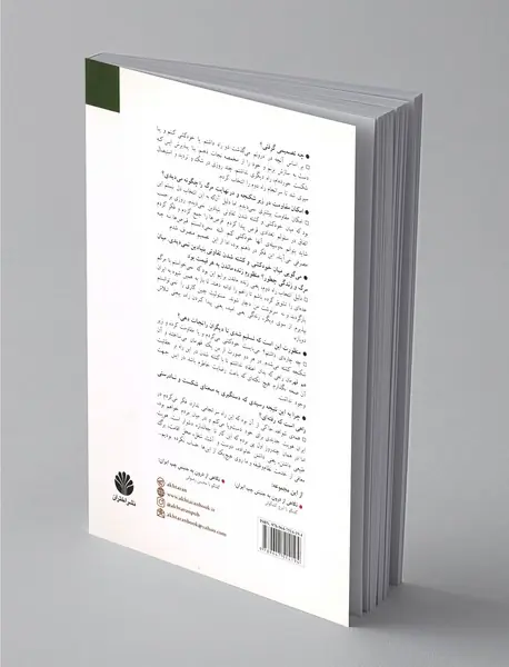 گفتگو با کورش لاشایی