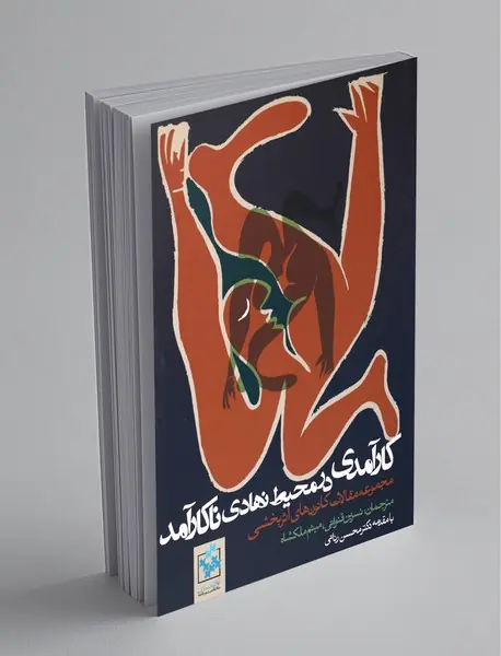 کارآمدی در محیط نهادی ناکارآمد کارآمدی در محیط نهادی ناکارآمد