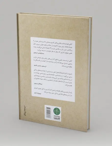 دنیا تا دیروز