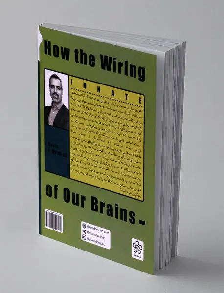 مغز با شخصیت