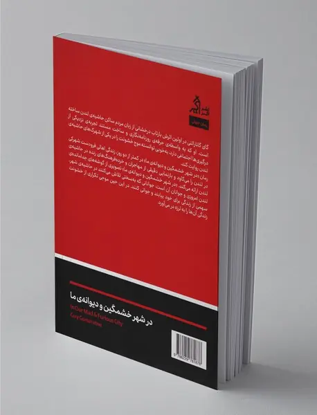 در شهر خشمگین و دیوانه ی ما