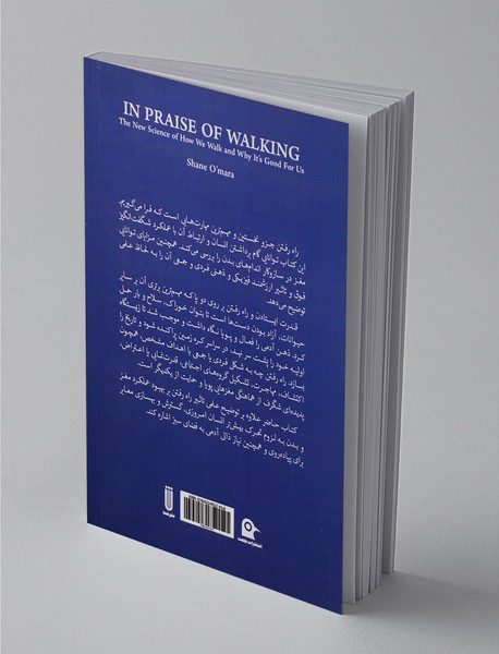 در ستایش راه رفتن
