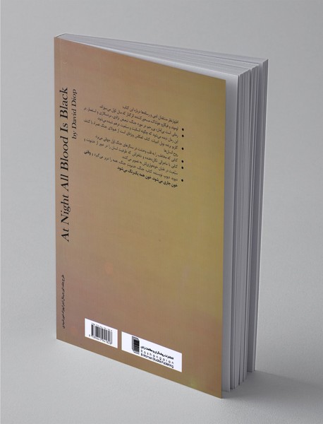 در شب همه خون ها سیاه است