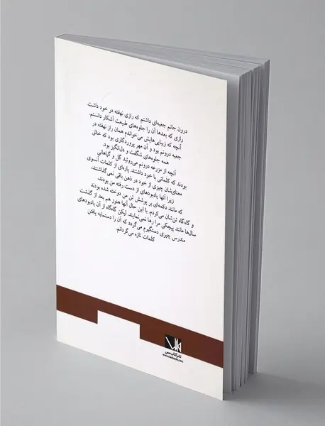 باریکه راه کنار مرداب