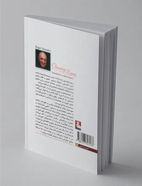 در جست و جوی رومی