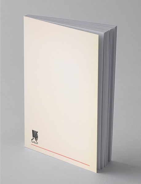 گرد شهر با چراغ