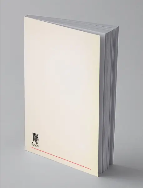 گرد شهر با چراغ