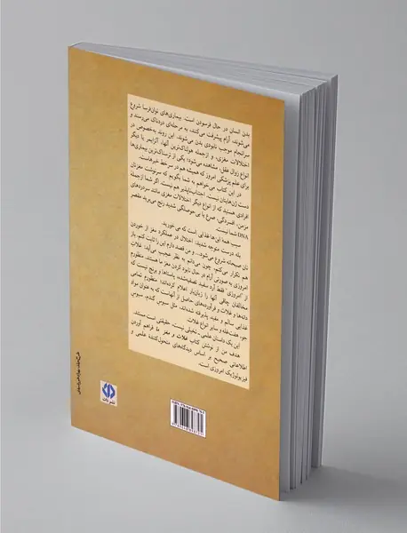 غلات و مغز ما