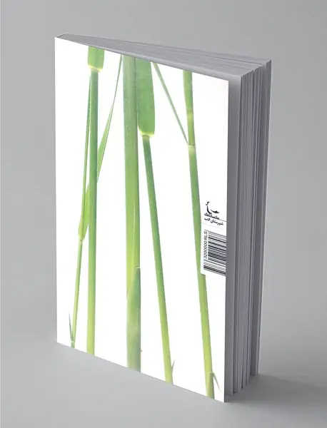 پس از بیست سال