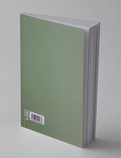 آگاهی از زمان در پدیدارشناسی هوسرل