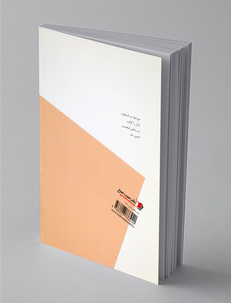 کاش لب‌های بیشتری داشتم برای گفتن