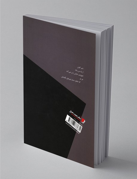 بگذار گوشواره‌ات باشم