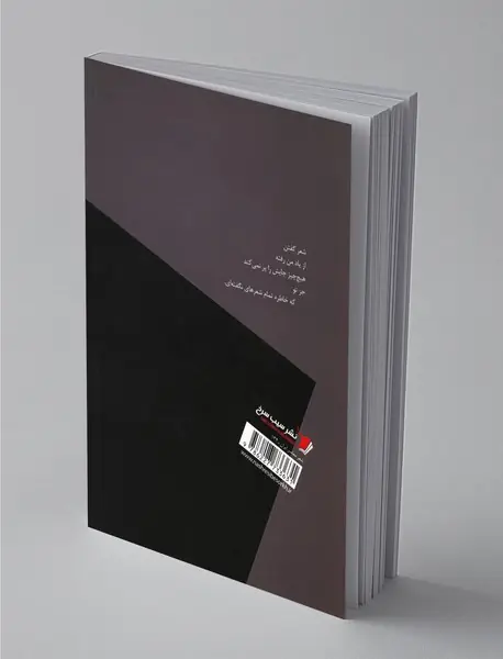 بگذار گوشواره‌ات باشم