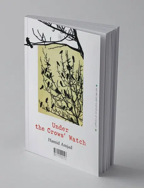 زیر نگاه کلاغ‌ها