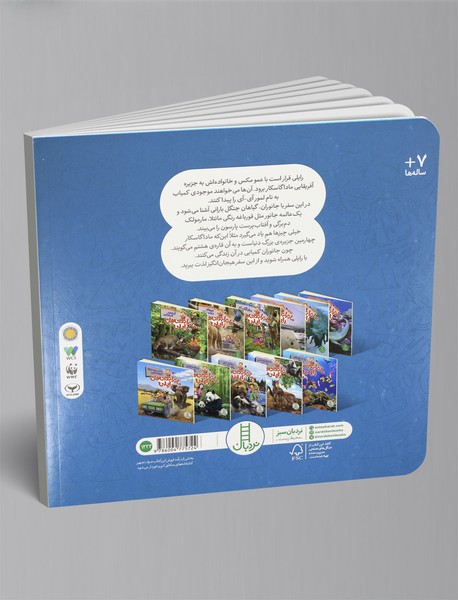 ماجراجویی های رایلی