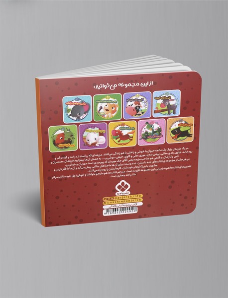 جیغی و تمرین کار جمعی