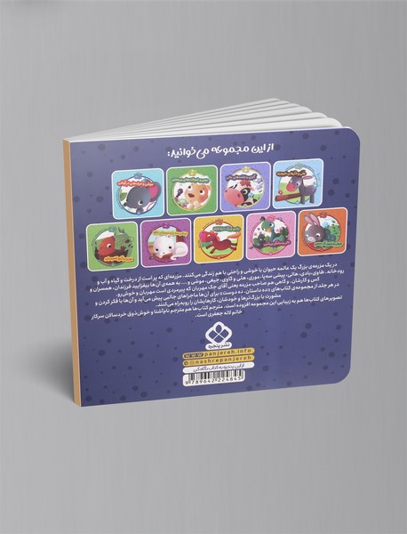 هاپی و فرار از نگرانی