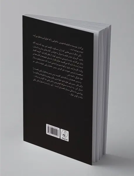 سرگذشت امیر