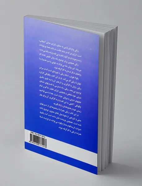 قدرت یابی با ریکی