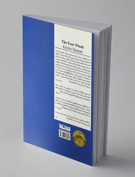 در دل طوفان