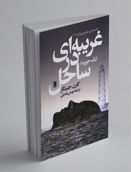 غریبه‌ای در ساحل