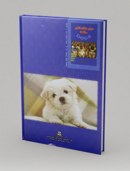 دنیای شگفت انگیز سگ ها