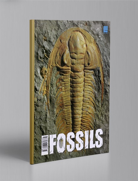 دانشنامه مصور دنیای شگفت انگیز سنگواره ها