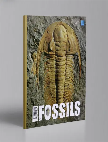 دانشنامه مصور دنیای شگفت انگیز سنگواره ها