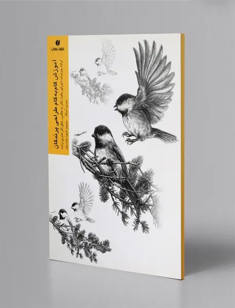 آموزش گام‌به‌گام طراحی پرندگان