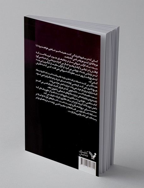 ماهی، طوطی و شیاطین میان‌رودان