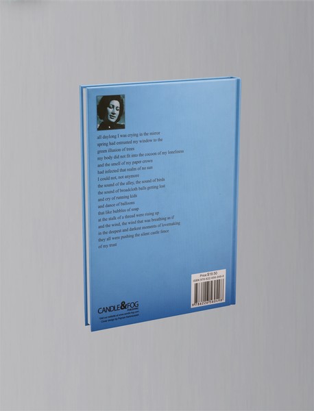 In the light of Forough