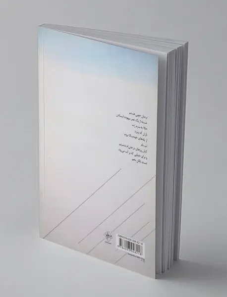 دیداری بیرون زمان