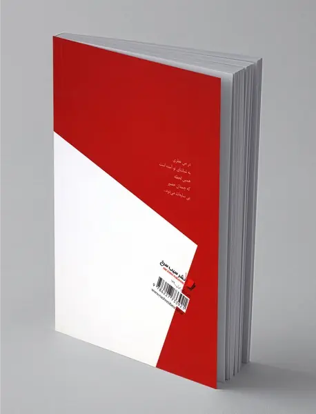 شاه به قلعه‌ی بازی برود