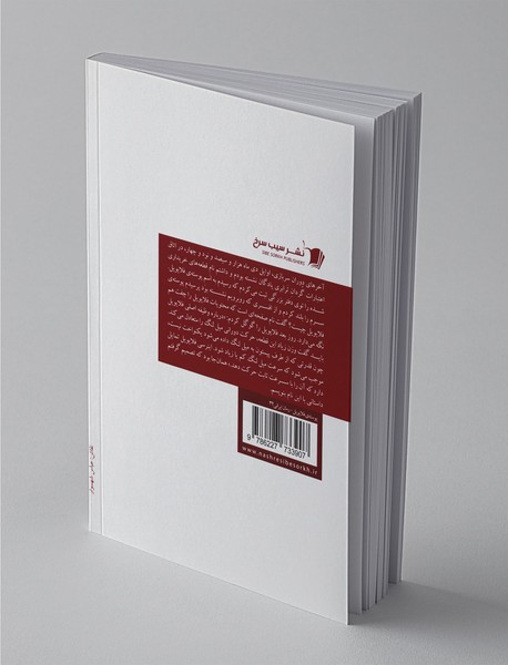 پوسته‌ی فلایویل