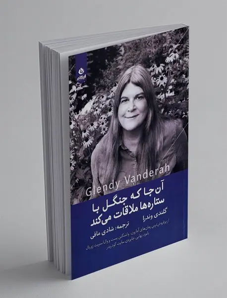 آن جا که جنگل با ستاره ها ملاقات می کند