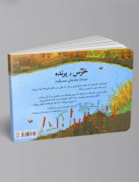 خرس و پرنده و قورباغه