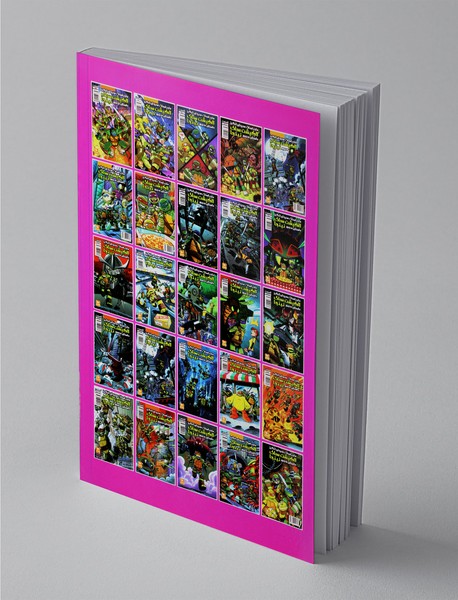 ماجراهای هیجان انگیز لاک پشت های نینجا