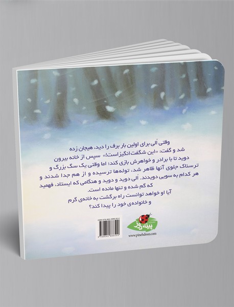 گمشده در برف