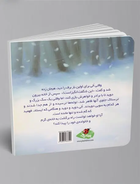 گمشده در برف