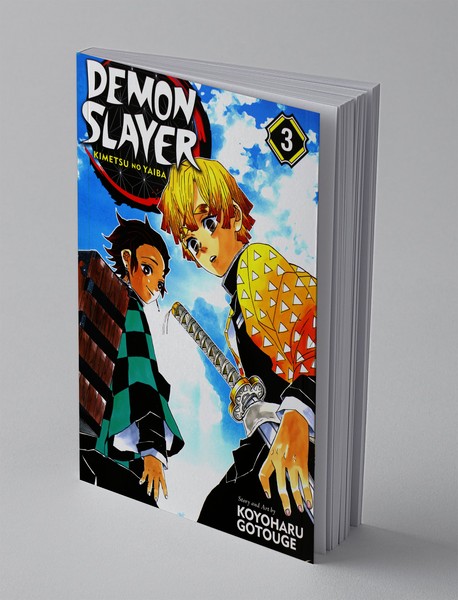 Demon Slayer 3 Demon Slayer 3