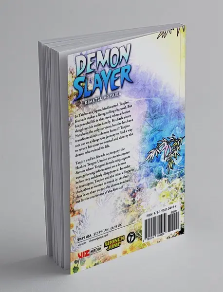 Demon Slayer 9