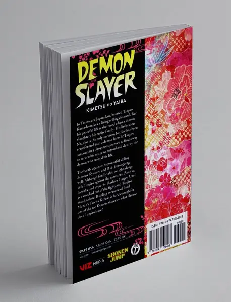 Demon Slayer 11