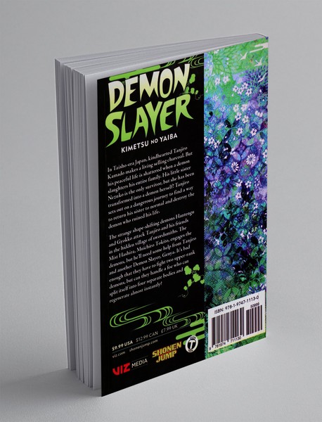 Demon Slayer 13