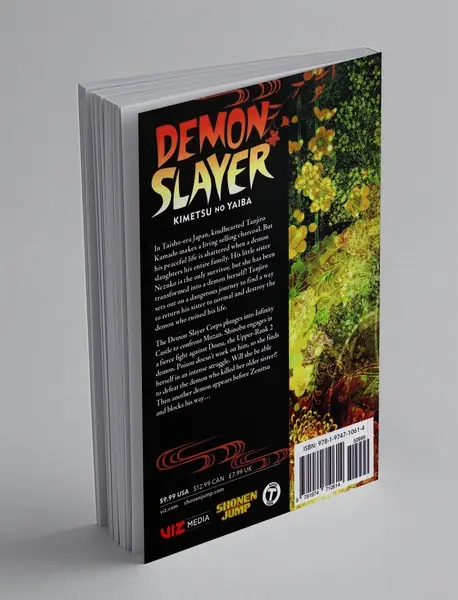 Demon Slayer 17