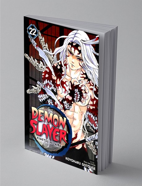 Demon Slayer 22 Demon Slayer 22