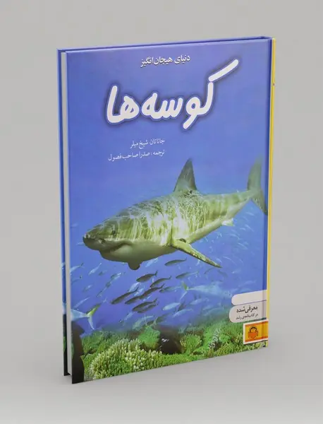 کوسهها کوسهها