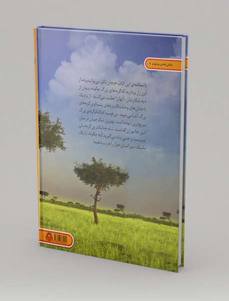 گربه‌سانان بزرگ