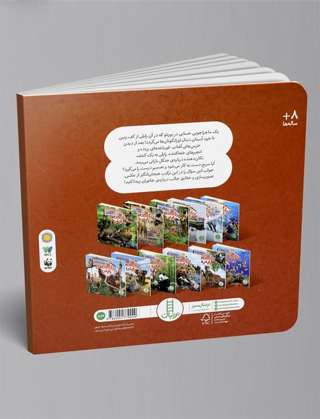 ماجراجویی های رایلی