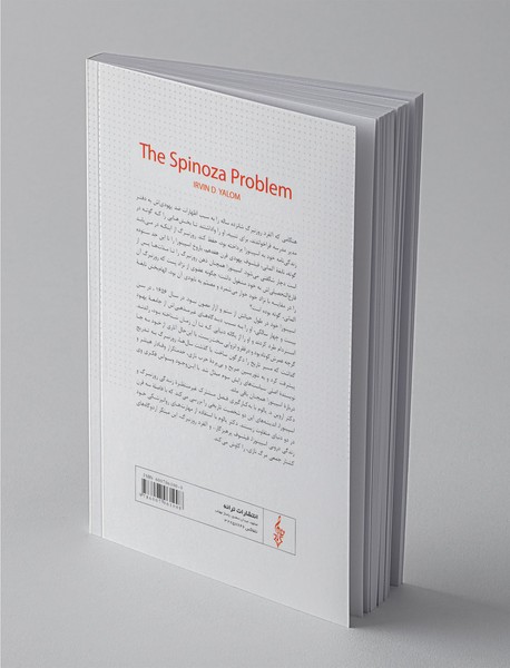 مسئله اسپینوزا