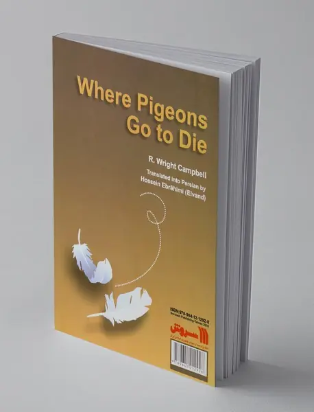 آنجا که کبوترها می‎میرند